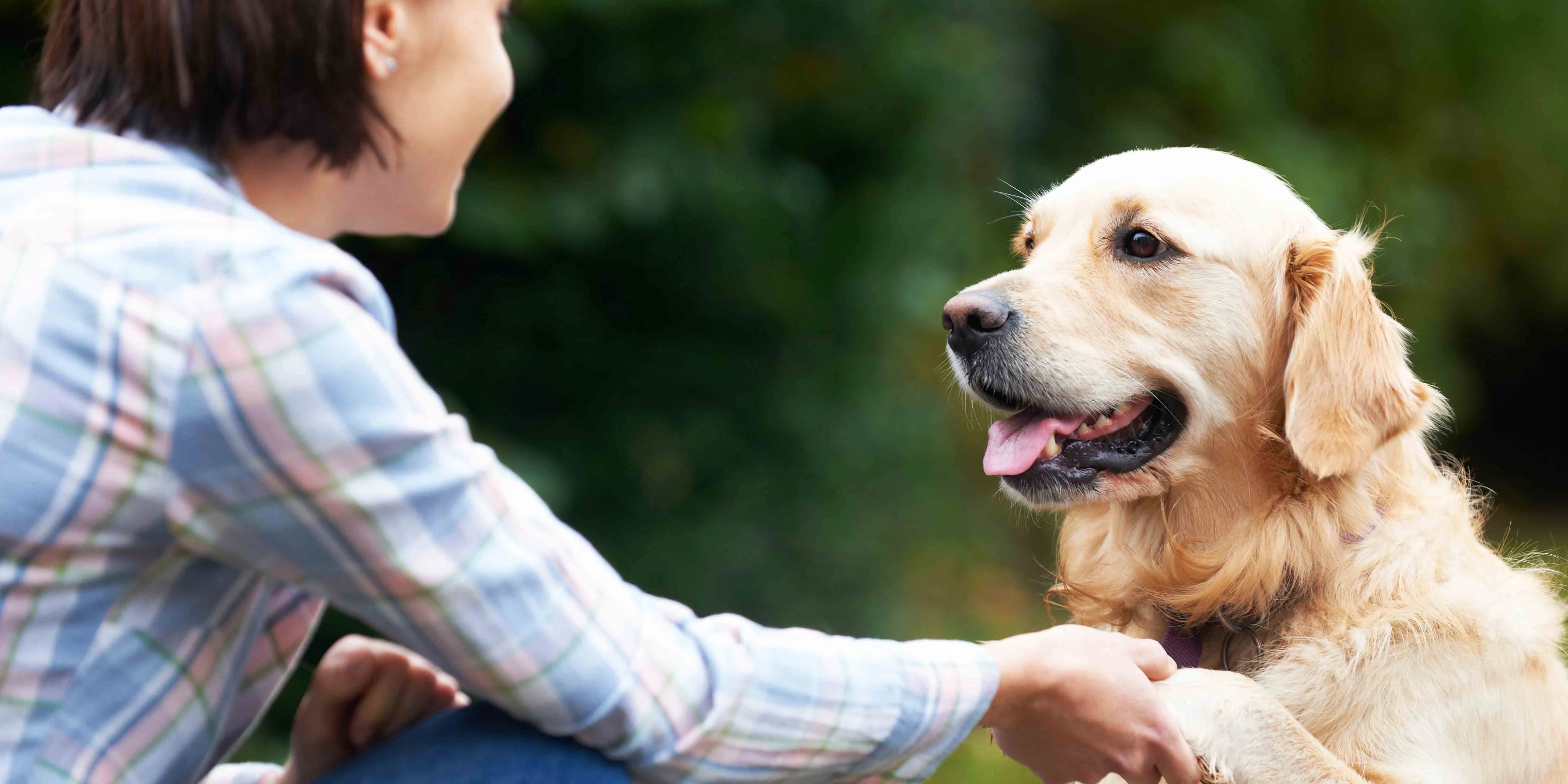"The Health Benefits of Playing with Your Pets!"