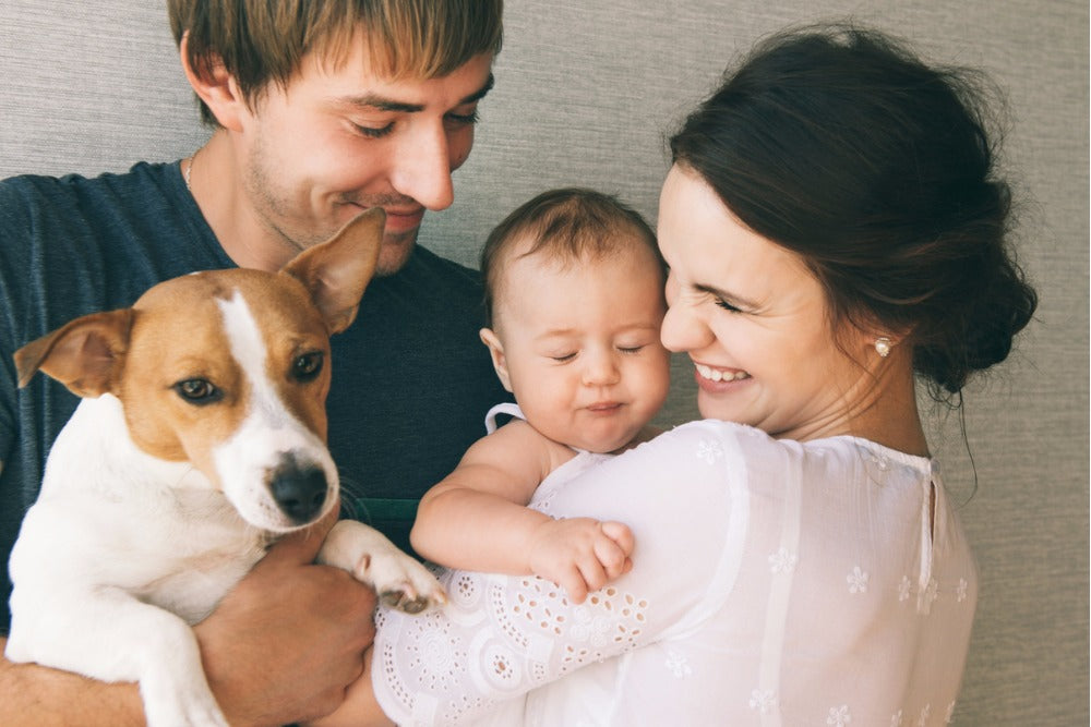 "The Ultimate Pet Quest: Must-Have Essentials for Your Furry Friends!"