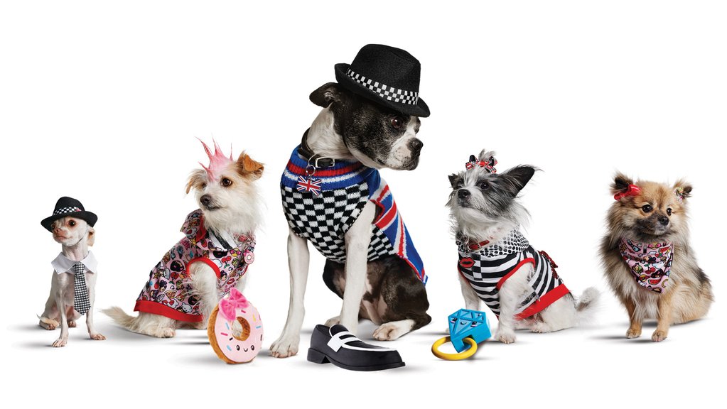 PET APPAREL AND ACCESSORIES