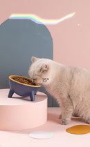 Nordic Style Pet Bowl with Stand