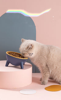 Nordic Style Pet Bowl with Stand